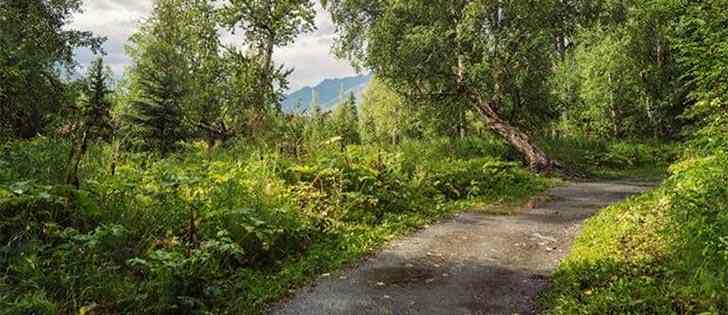 Moto avventure: Off-Road in moto sulle strade sterrate della Val d'Agri 3